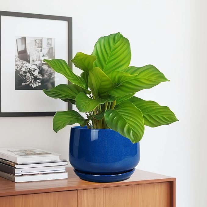 G EPGardening Round Ceramic Plant Pots - Image 5