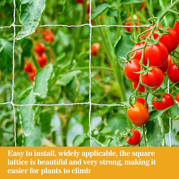 Sukh Garden Plant Trellis Netting - Image 4