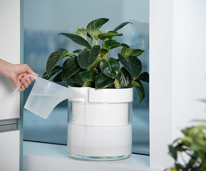 Phoenix Vine 10 Inch Self Watering Planter - Image 2