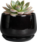 G EPGardening 6 Inch Planter by GEPGardening