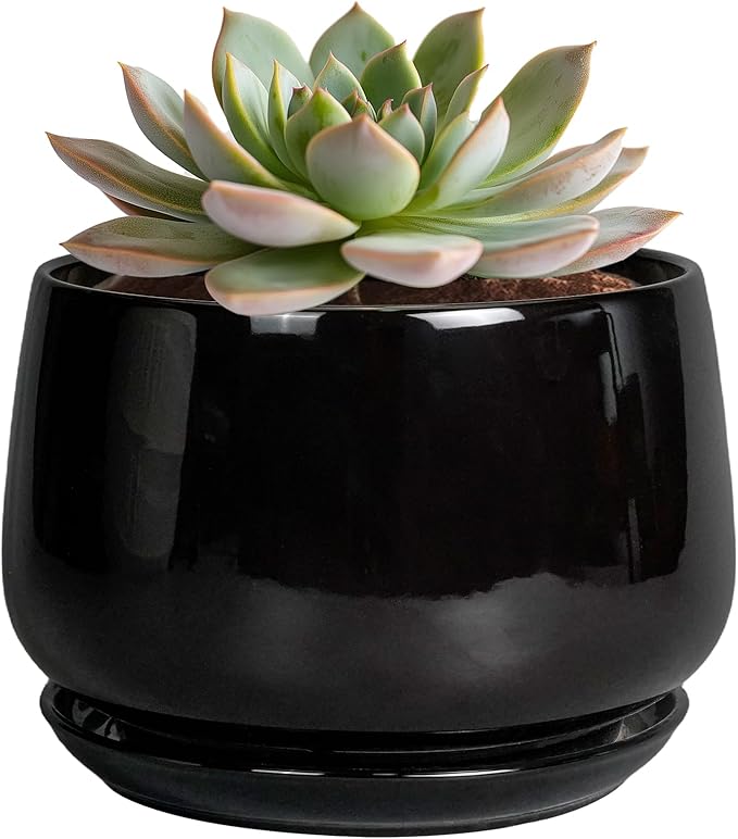G EPGardening 6 Inch Planter by GEPGardening