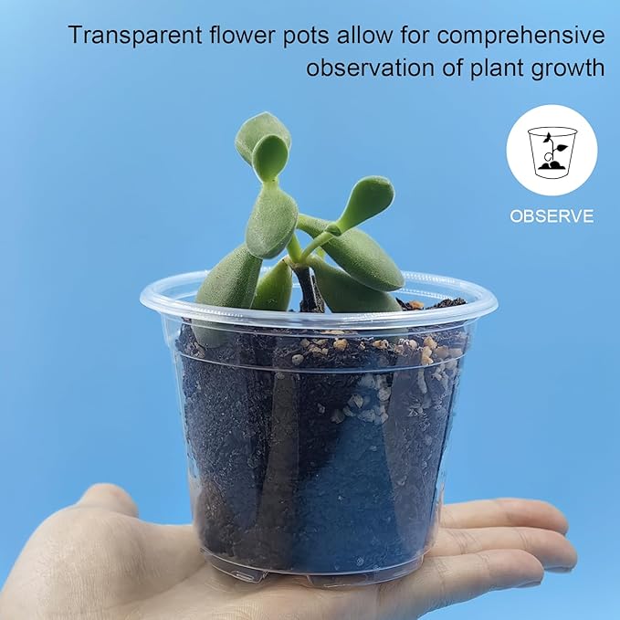 Clear Seedling pots 100-Pack 3.2 Inches Round - Image 3