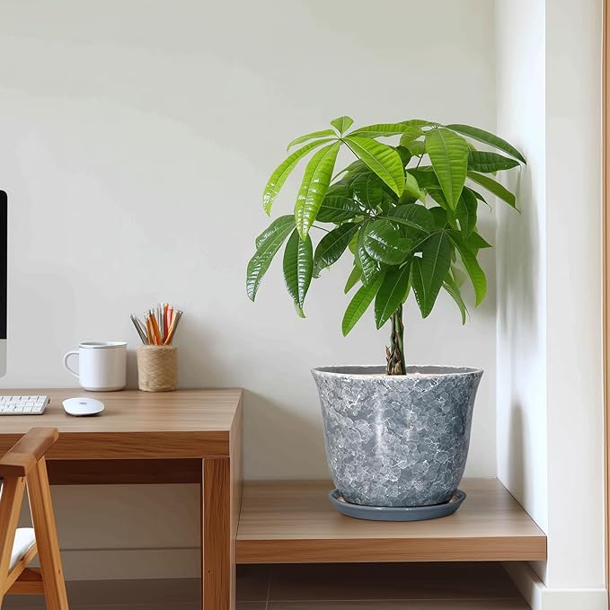 Ceramic Pots for Plants - Image 7