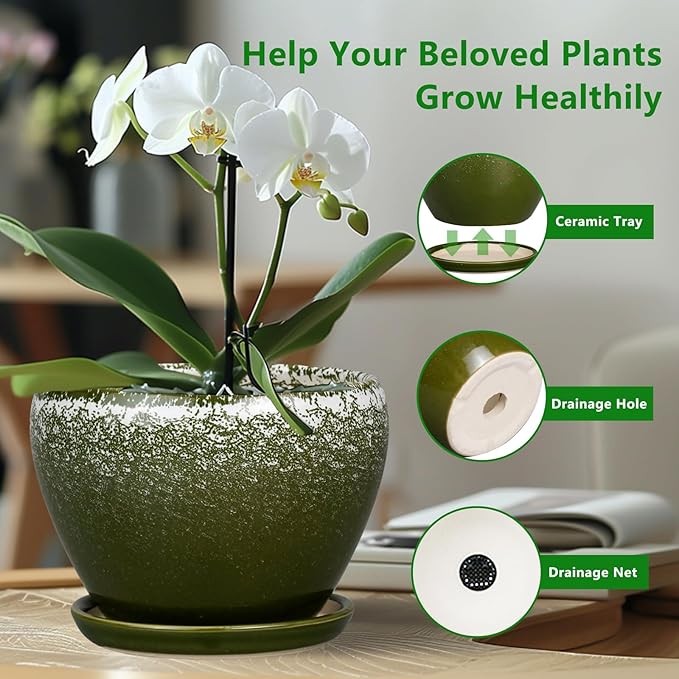 8 Inch Plant Pot - Image 6