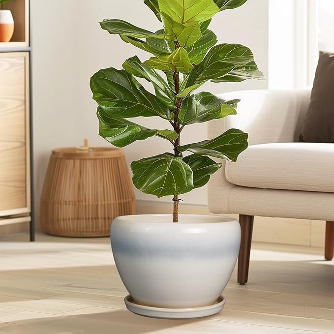 10 Inch Ceramic Planter Pot - Image 2