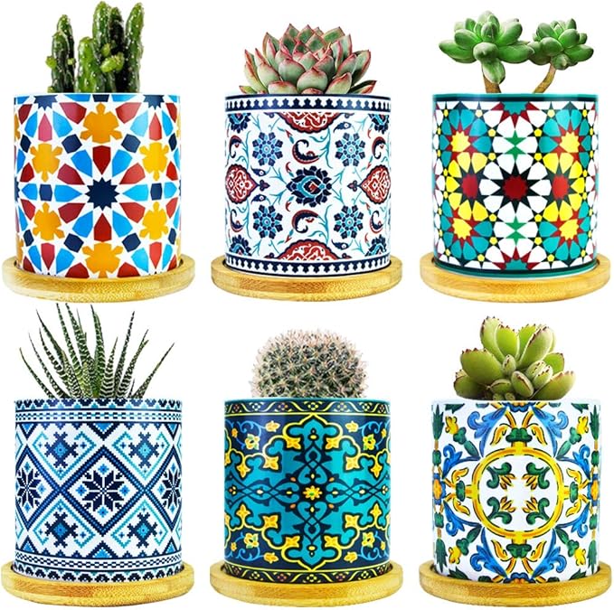 6 Pack Mandala Succulent Plant Pot by Ascrafter