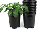 Wholesale Bulk Nursery Pot Black Plastic Planters 30-Pack 1 Gallon Pots by CottaPlanters