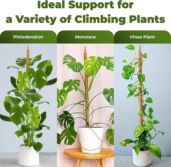 63 Inch Bendable Moss Pole Monstera Plant Support - Image 4