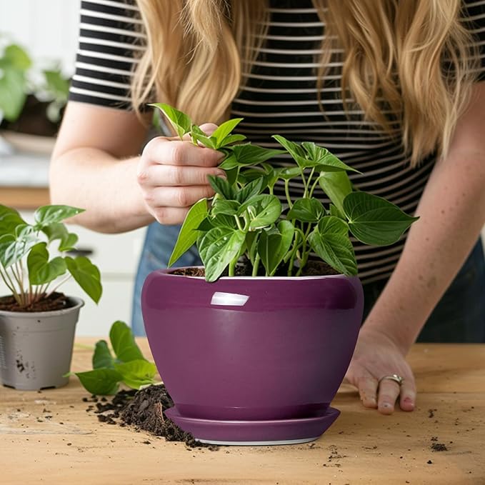 Ceramic Pots for Plants 6 Inch - Image 5