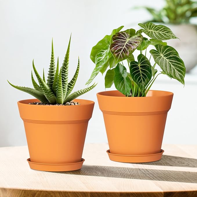 4 Inch Plastic Plant Pots with Drainage Holes and Trays – 8 Pack Small Nursery - Image 6
