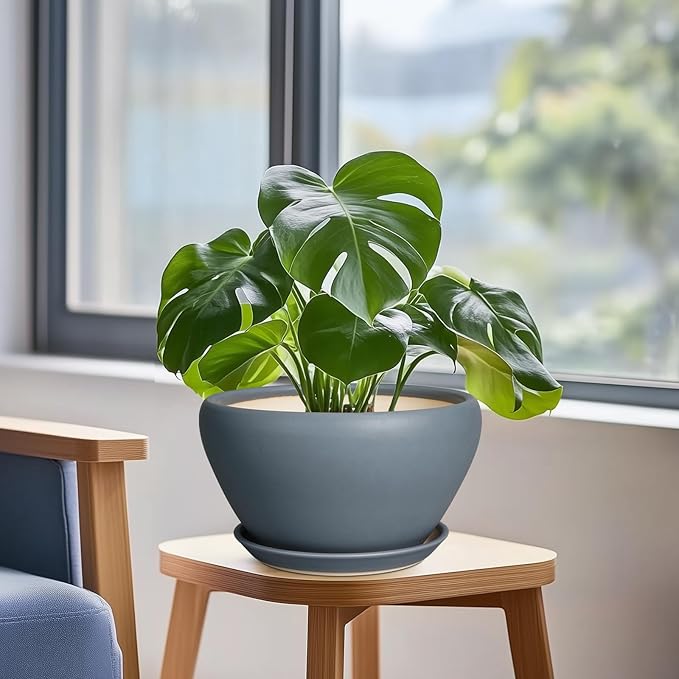 Ceramic Pots for Plants - Image 4