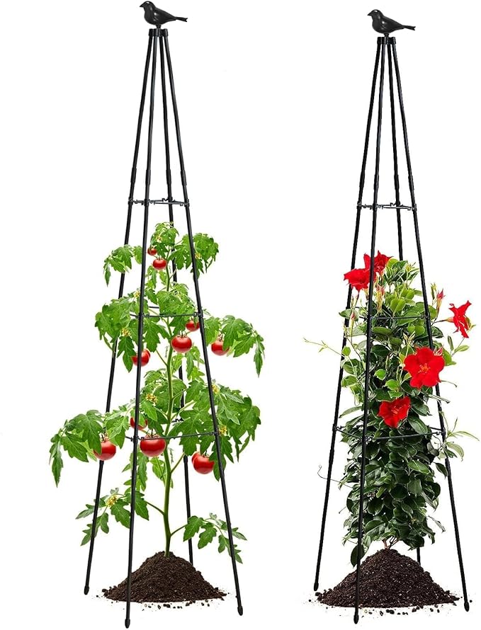 Cucumber Trellis, 2 Pack - Image 3
