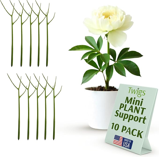 Mini Twigs Plant Support Stakes by TwigsGardenAccessories