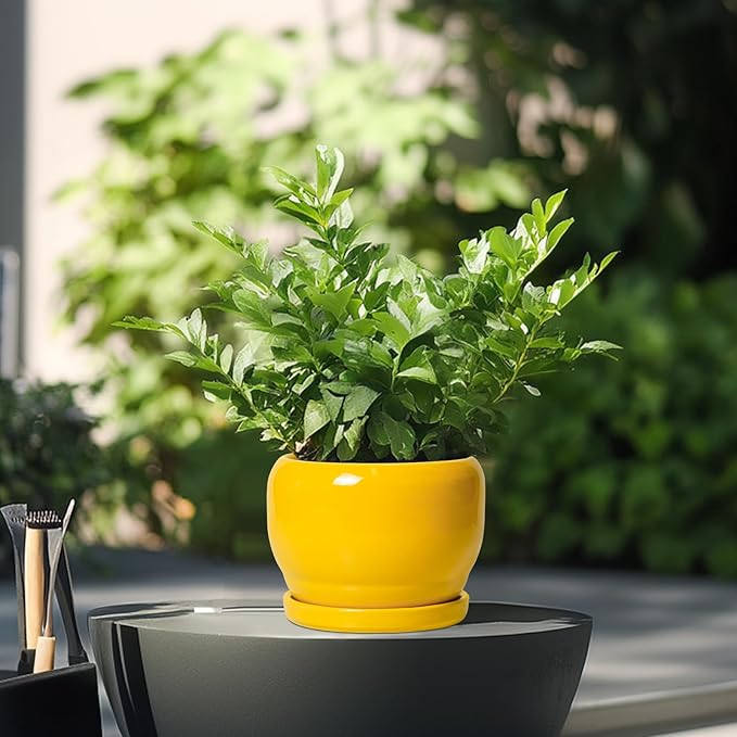 SQOWL 6 Inch Plant Pot - Image 4
