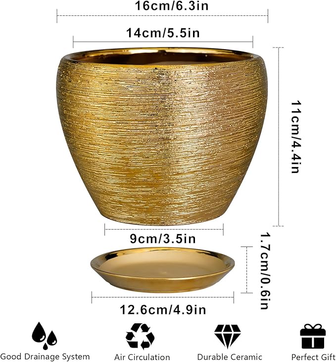 Indoor Plant Pot 6 Inch - Image 2