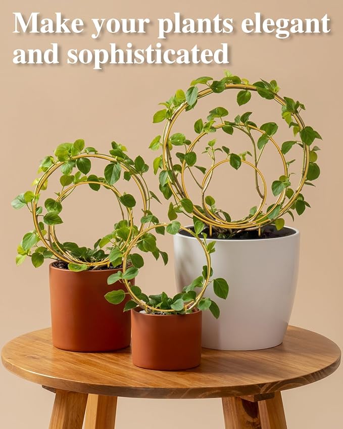 3 Pack Premium Round Plant Trellis Indoor, Small Metal Plant Support Stake - Image 3