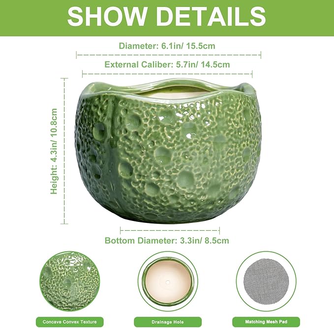 6 Inch Plant Pot - Image 2