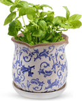 Ceramic-Planters-for-Indoor-Plants by Xoogifae