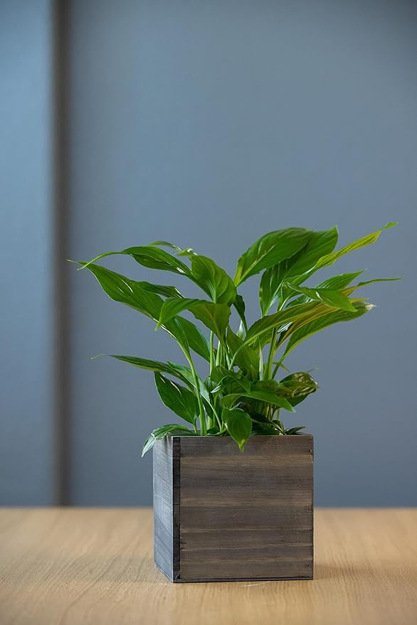 Wooden Planter Box, Rustic Barn Wood - Image 5