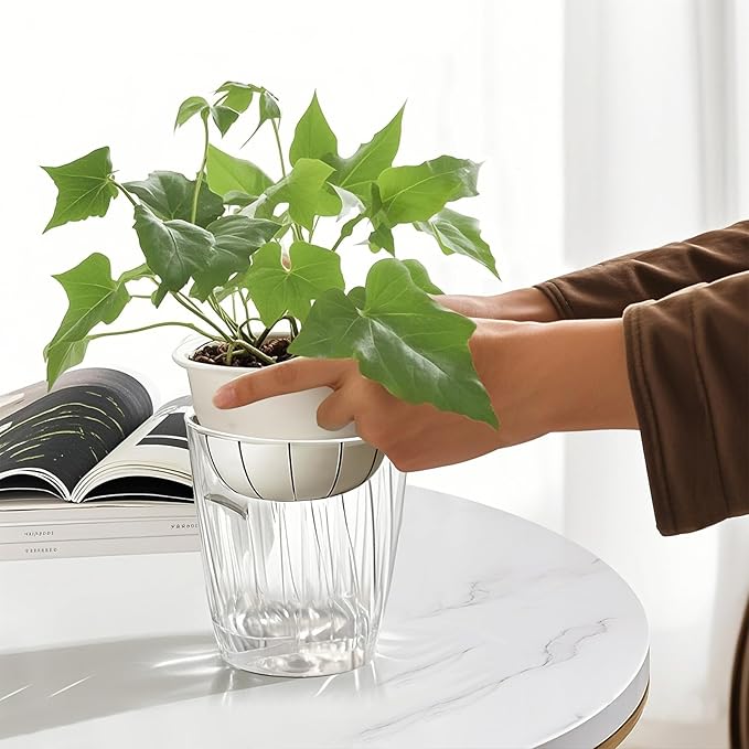 Self Watering Planters - Image 3