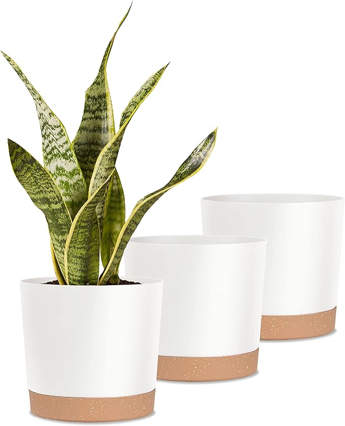 kubvici Indoor Plant Pots Planters 8 inch Plastic Planter by kubvici