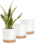 kubvici Indoor Plant Pots Planters 8 inch Plastic Planter by kubvici