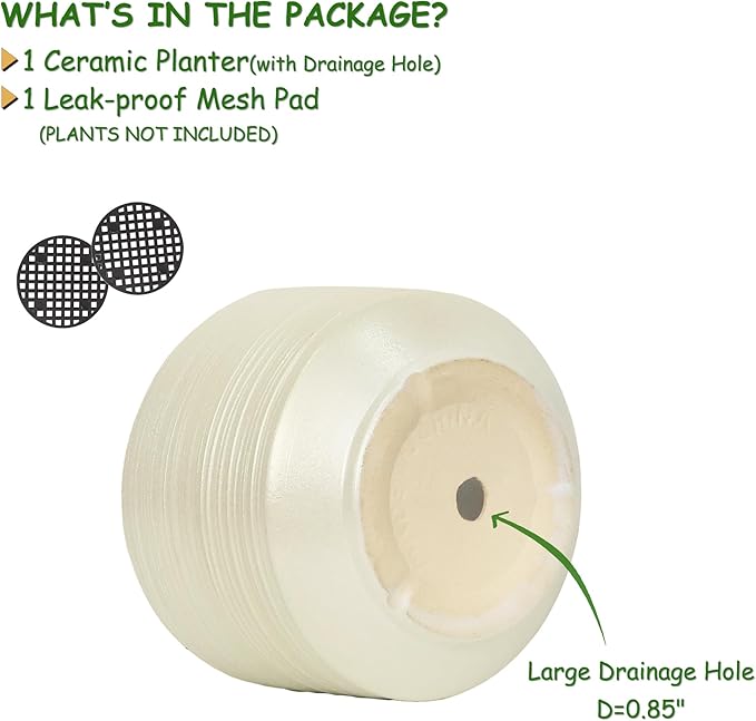 10 Inch Ceramic Plant Pot with Drainage – Large Flower Pot - Image 2