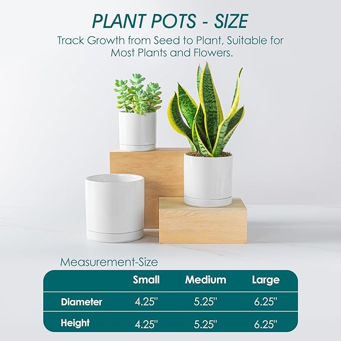 vancasso Ceramic Plant Pots, 3 Piece Planters - Image 2