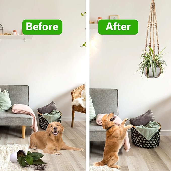 Augshy 2 Pcs Plant Hangers Hanging Plant Holder - Image 6