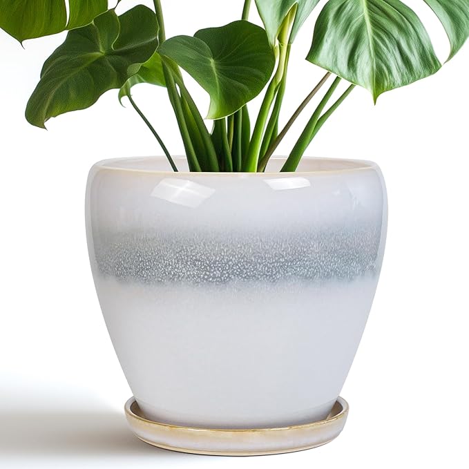 Ceramic Pots for Plants by EPFamily