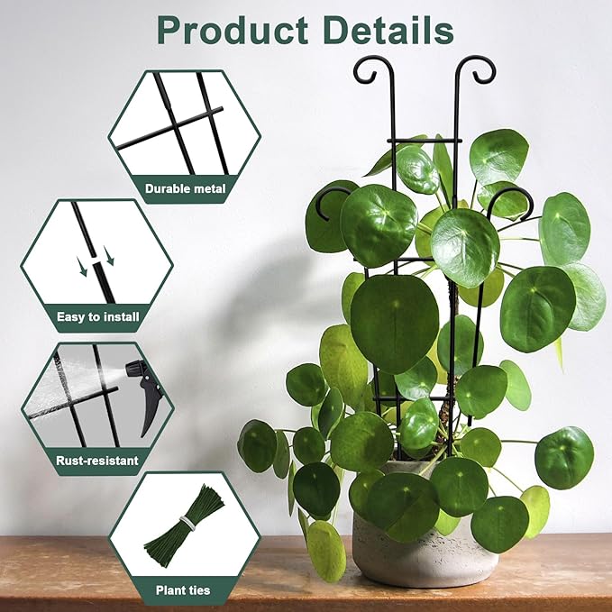 Coomin 23in Taller Plant Trellis - Image 4