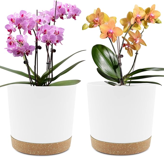 QCQHDU 8 inch Plant Pot, 2 Pack Planters by QCQHDU