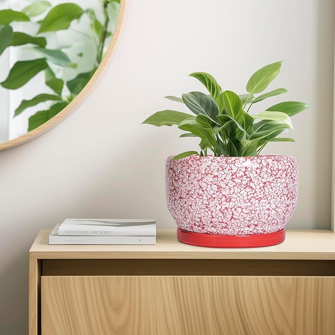 SQOWL Ceramic Planters for Indoor Plants - Image 7