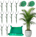 Monstera Plant Support Stakes Indoor by Unknown