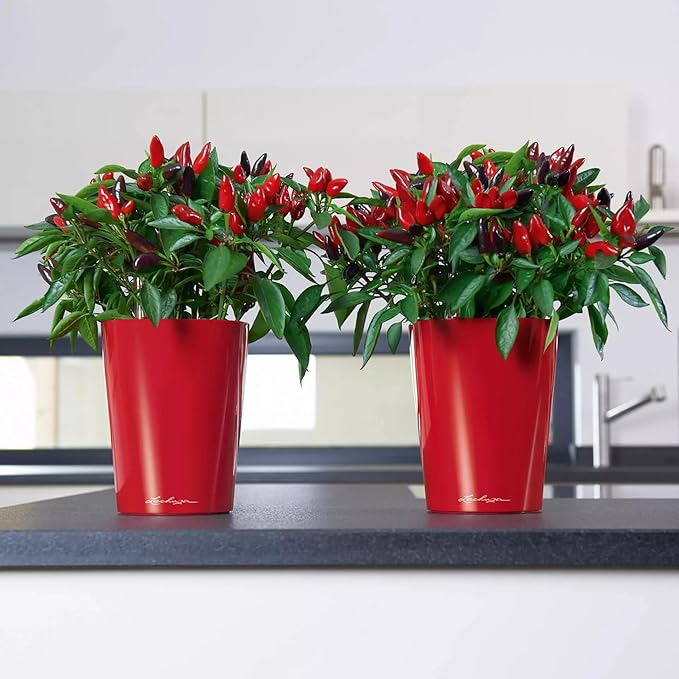 Lechuza MINI-DELTINI Scarlet Red High Gloss, Self-Watering Small Indoor Planter - Image 10