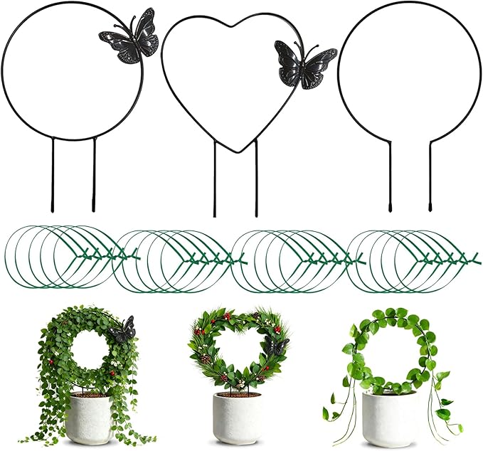 Indoor Climbing Plant Trellis by Unknown