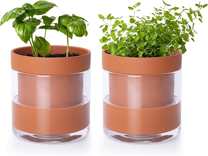 Phoenix Vine 4 Inch Self Watering Planter Pot, Terracotta Clay Pot by Phoenix+Vine