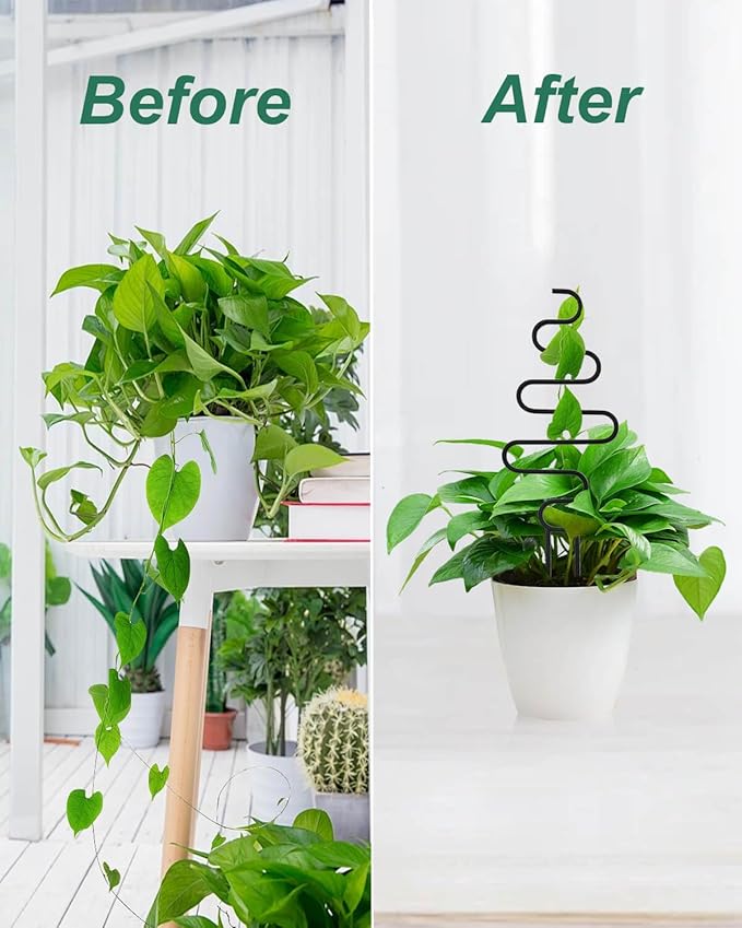 Small Plant Trellis for Climbing Plants Indoor - Image 6