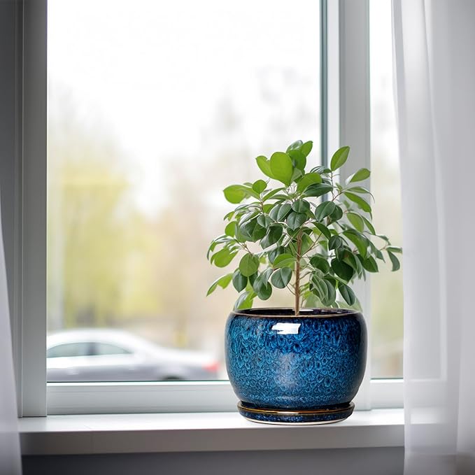 SQOWL Ceramic Planter 8 Inch - Image 4