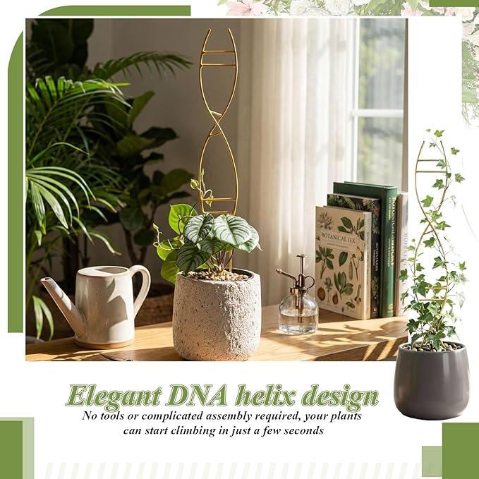 3 Pcs 15.75 Inch Indoor Plant Trellis - Image 7