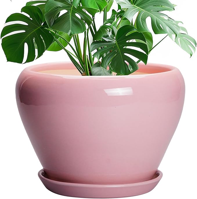 10 Inch Plant Pot by Ceramicfor