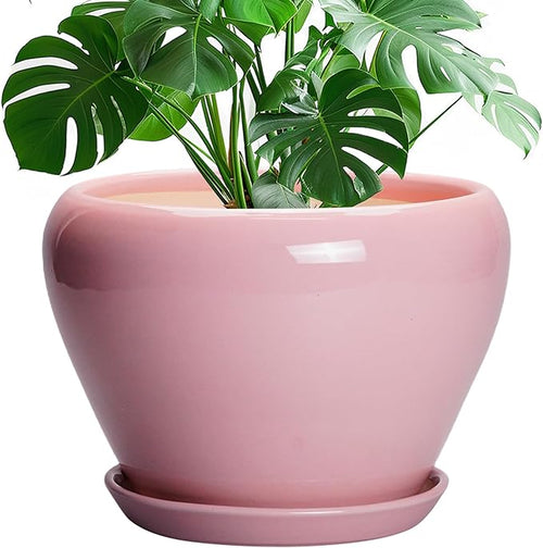 10 Inch Plant Pot by Ceramicfor