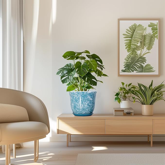 8 Inch Plant Pot - Image 7
