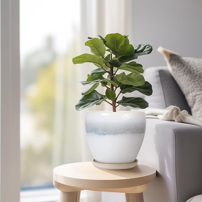 6.3 Inch Plant Pot - Image 8