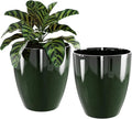 QCQHDU 10 inch Plant Pot with Drainage Hole, 2 Pack Sturdy Pots by QCQHDU