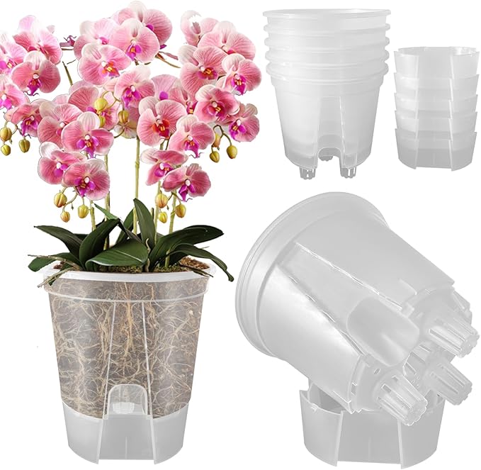 Cdd's Path 5-Pack 6 Inch Self Watering Naked Root Planter Pots by Unknown