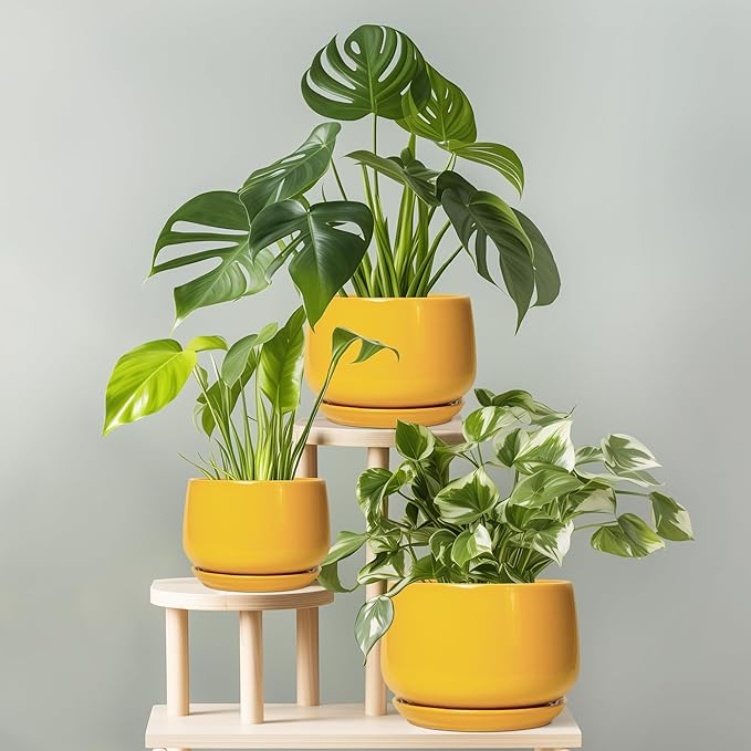 G EPGardening Ceramic Flower Pot - Image 7