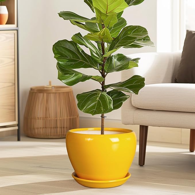 8 Inch Plant Pot - Image 2
