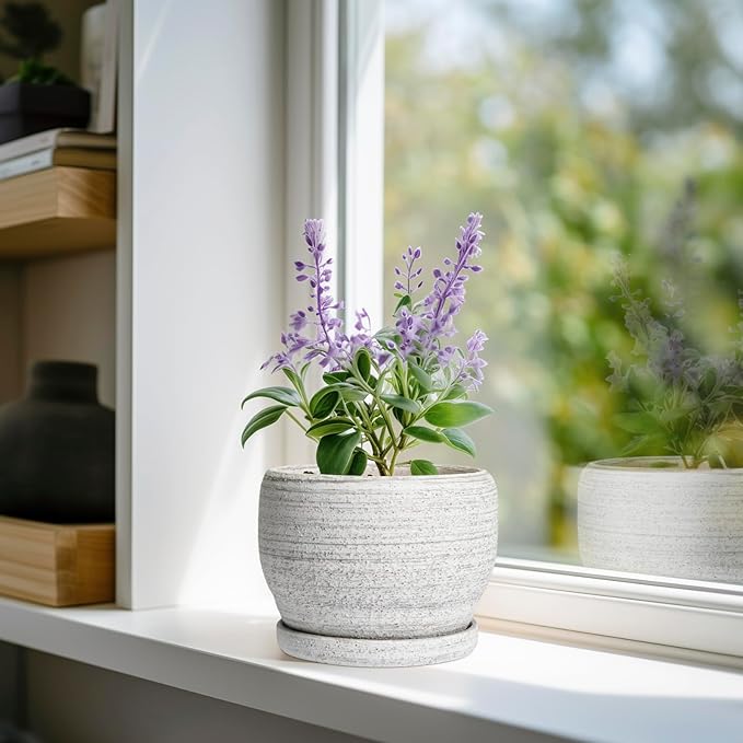 SQOWL Ceramic Planters for Indoor Plants - Image 2