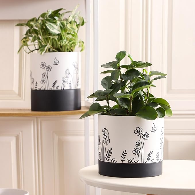 Nihow Ceramic Plant Pot: 6 Inch Planter - Image 4